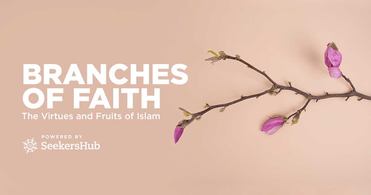 Branches of Faith Podcast Review