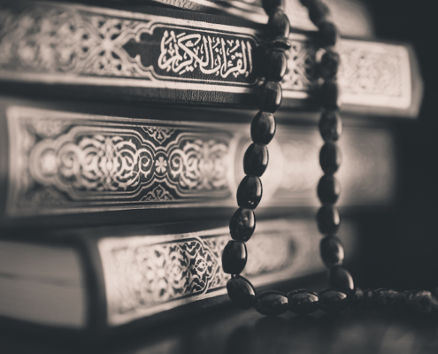 Qur’an and the Arabic language – Shaykh Ali Hani