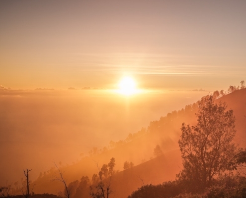 Back to Our Roots as SeekersGuidance – Shaykh Faraz Rabbani