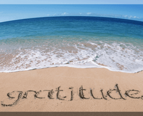 Radical Gratitude Series