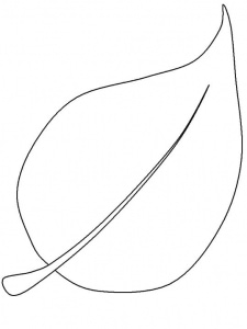 Step 4: Make a leaf or fruit-shaped template