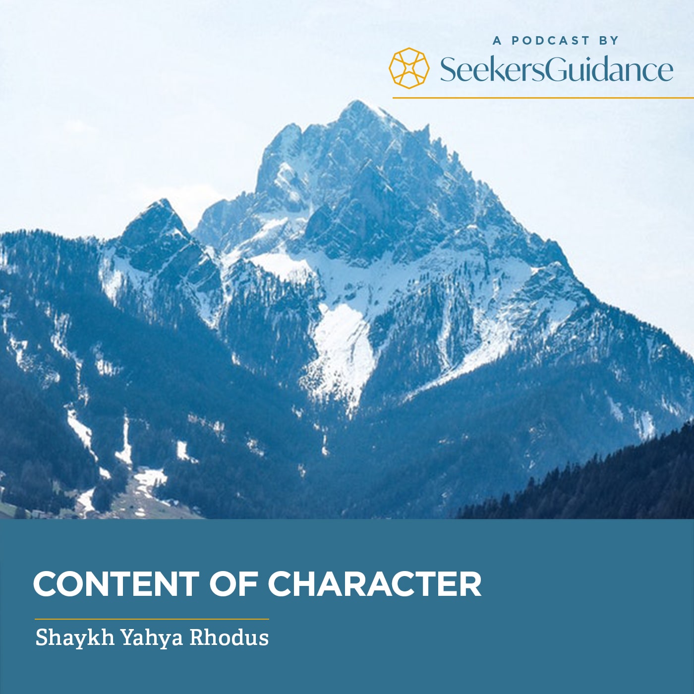 Content Of Character